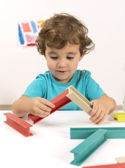 ECO Beams Building Set