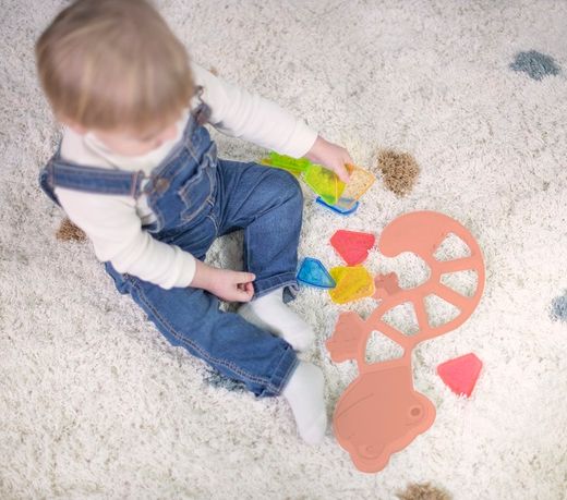 FTL: Llangardaix sensorial translúcid