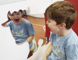 Espejos Animales: Vaca