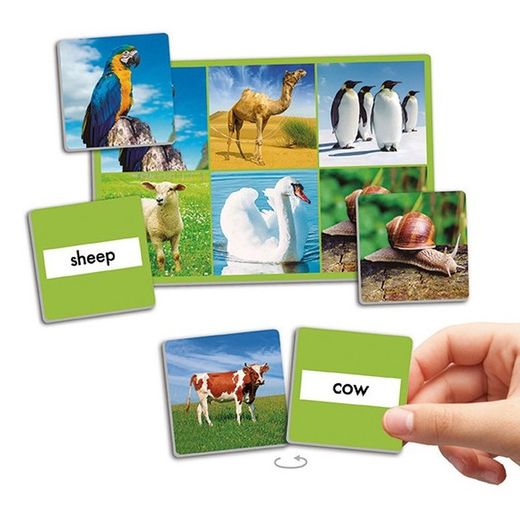 Lotos: 72 animales