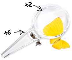 Lupa de 80 mm, 2x-6x