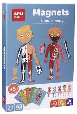 Magnets cos humà