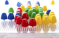 Pegs 10 mm - Colors primaris