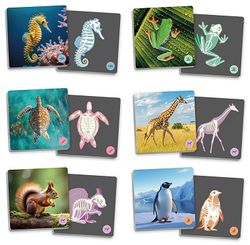 Maxi-memory Animals vertebrats i el seu esquelet