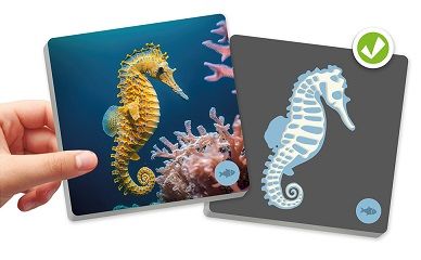 Maxi-memory Animals vertebrats i el seu esquelet