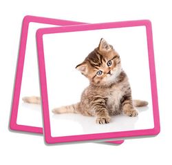 Maxi-Memory mascotes