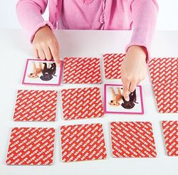 Maxi-Memory mascotes