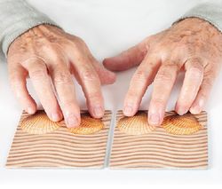 Maxi-Memory táctil “Naturaleza”