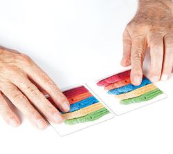 Maxi-memory tàctil “el nostre entorn”