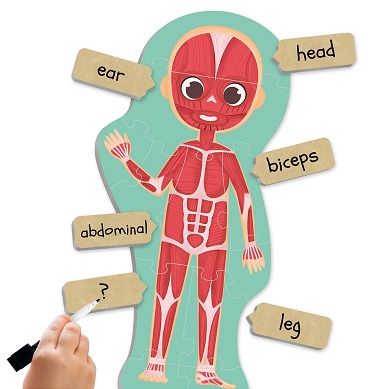 Maxi-puzle Descubre e identifica el cuerpo humano