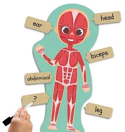 Maxi-puzle Descobreix i identifica el cos humà