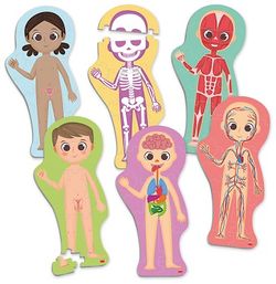 Maxi-puzle Descobreix i identifica el cos humà