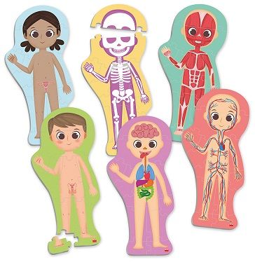 Maxi-puzle Descobreix i identifica el cos humà