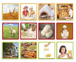 Maxi-seqüències de producció