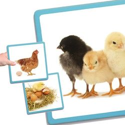 Maxi-seqüències naturals