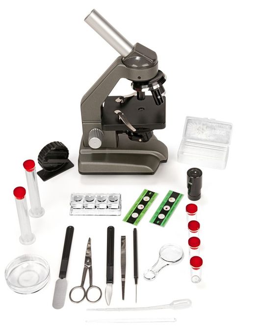 Microscopio 640x