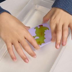 Jelly gloop: dino wold