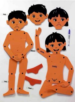 Muñecos articulados: niño y niña