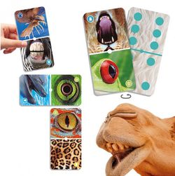 Natudomino el zoom dels animals