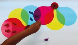 Palas de colores