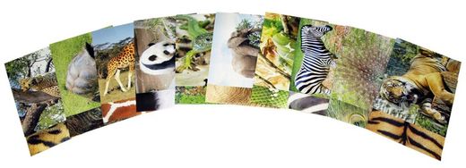 Papel creativo Animales Salvajes 210x297 mm.