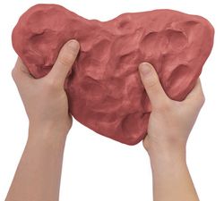 Pasta para modelar AIR DRY CLAY terracota 1000 gr.