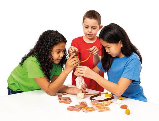 Plastilina JOVI safata 6 pastilles 50 g colors MULTICULTURAL