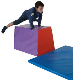 Plinton escolar