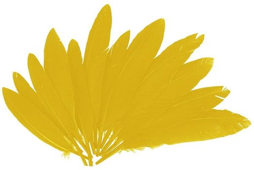 Plumas indio 25 mm x 140 mm aprox. amarilla
