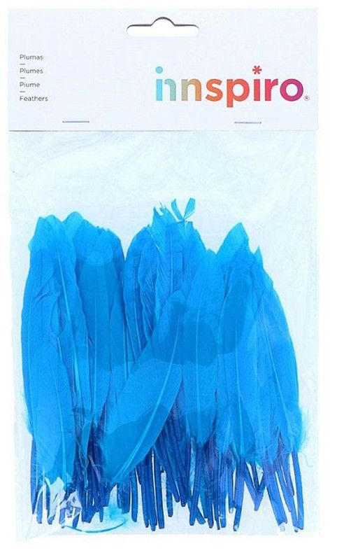 Plomes indi 25 mm x 140 mm aprox. blau