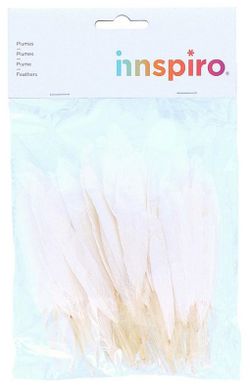 Plumas indio 25 mm x 140 mm aprox. blanco