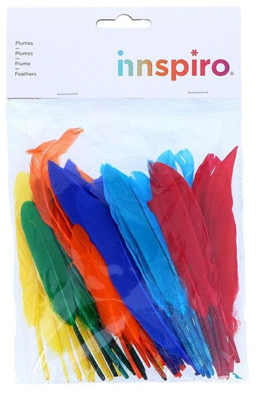 Plumas indio 25 mm x 140 mm aprox. colores
