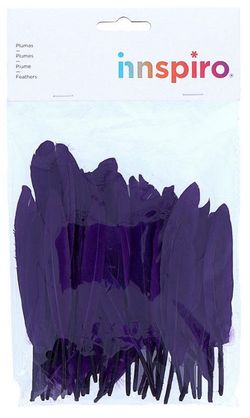 Plomes indi 25 mm x 140 mm aprox. lila