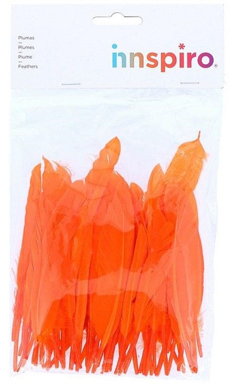 Plomes indi 25 mm x 140 mm aprox. taronja