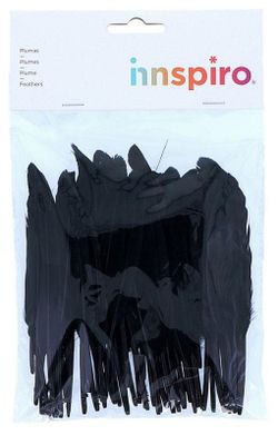 Plumas indio 25 mm x 140 mm aprox. negro