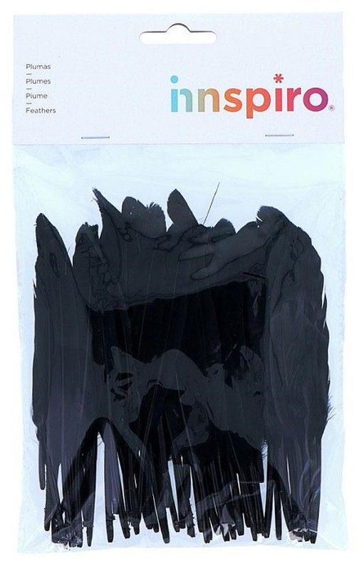 Plumas indio 25 mm x 140 mm aprox. negro