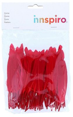 Plomes indi 25 mm x 140 mm aprox. vermell