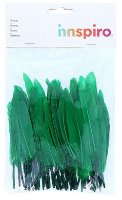 Plomes indi 25 mm x 140 mm aprox. verd