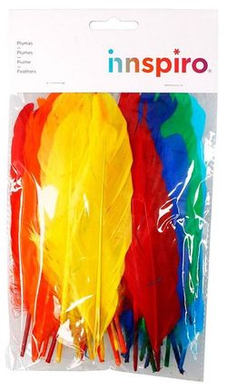 Plumas indio 30 mm x 200 mm aprox. colores