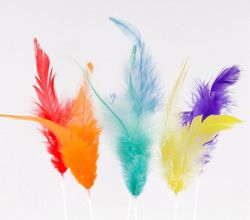 Plomes Mona de Pasqua 8 cm 10 und.