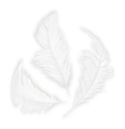 Plumón blanco 75 mm