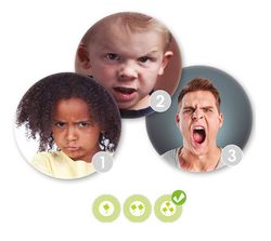 Reconèixer i guiar les emocions