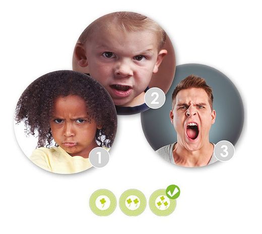 Reconèixer i guiar les emocions