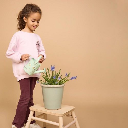 Regadora de jardineria