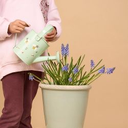 Regadora de jardineria