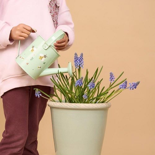 Regadora de jardineria