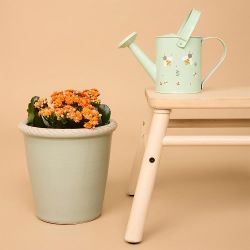 Regadora de jardineria