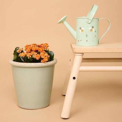 Regadora de jardineria