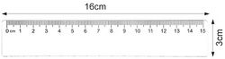 Regla plàstic 311/15 cm.