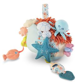Sensorial reef